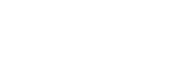 Zontes